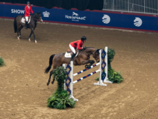 Show-Jumping-web